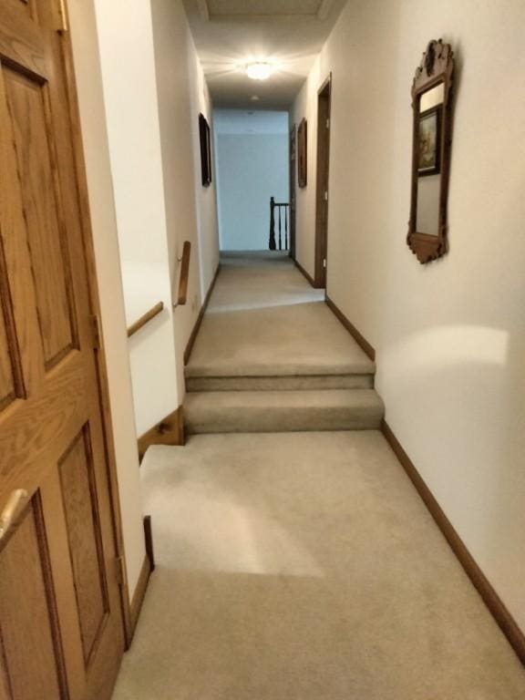 5 Harvest Glen Ct, Hawthorn Woods, IL 60047 - photo 16