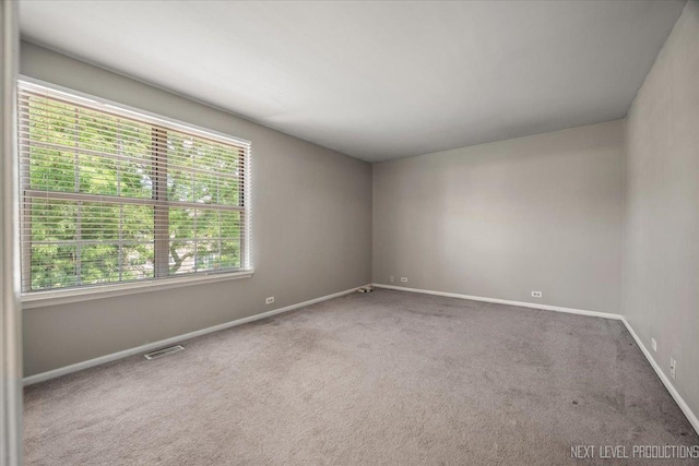 2020 College Green Dr, Elgin, IL 60123 - photo 14