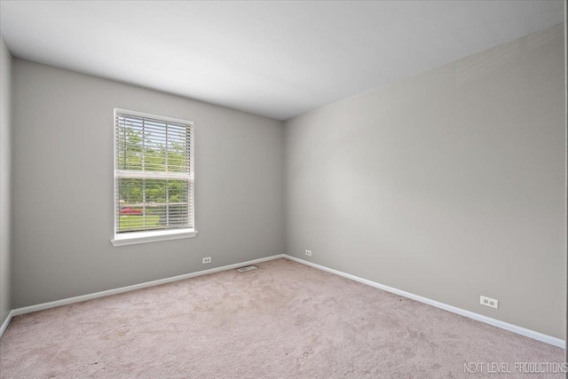 2020 College Green Dr, Elgin, IL 60123 - photo 19