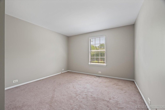 2020 College Green Dr, Elgin, IL 60123 - photo 22