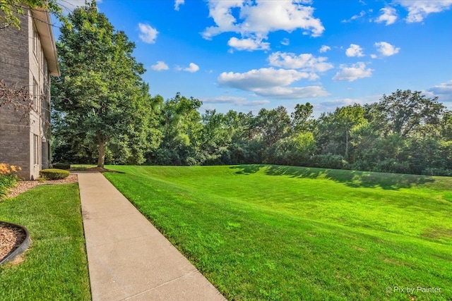 6850 Ridge Point Dr Unit 2C, Oak Forest, IL 60452 - photo 22
