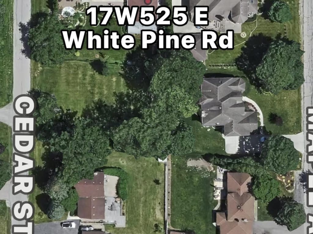 17W525 White Pine Rd, Addison, IL 60101 - photo 2