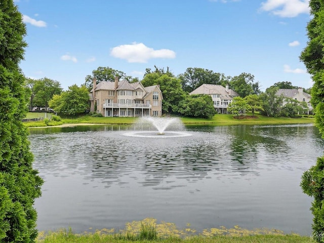9233 Falling Waters Dr W, Burr Ridge, IL 60527 - photo 23