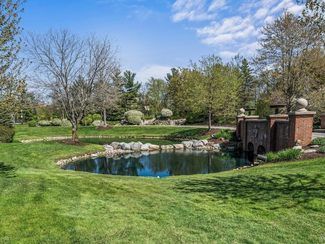 9233 Falling Waters Dr W, Burr Ridge, IL 60527 - photo 25