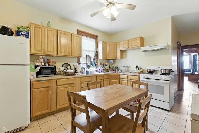 4224 W Kamerling Ave, Chicago, IL 60651 - photo 22