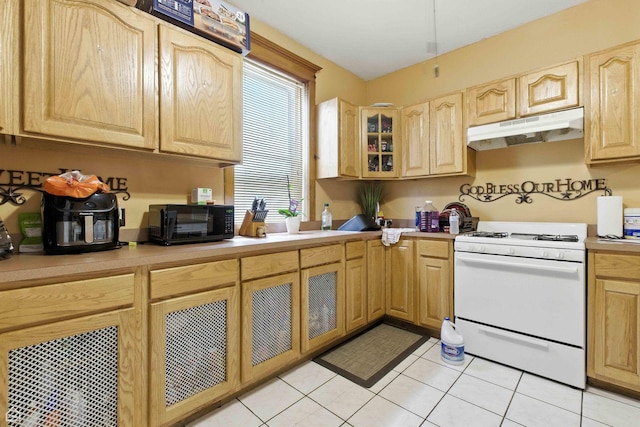 4224 W Kamerling Ave, Chicago, IL 60651 - photo 10
