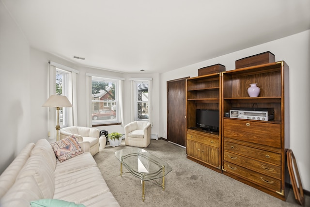 3215 S Lowe Ave, Chicago, IL 60616 - photo 3