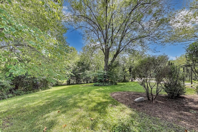 222 Bradwell Rd, Inverness, IL 60010 - photo 5