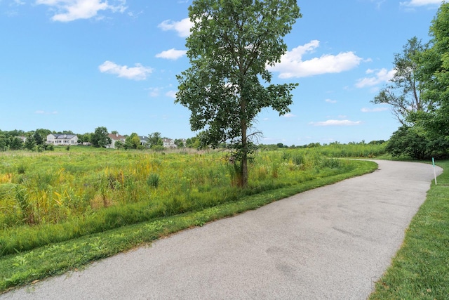 582 Woods Creek Ln, Algonquin, IL 60102 - photo 29