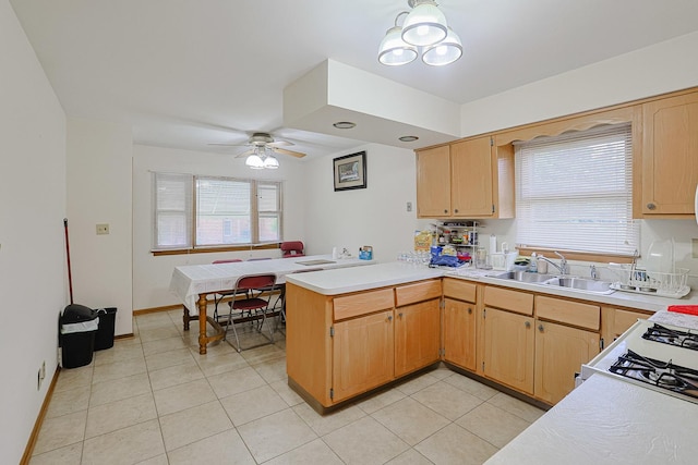 541 Willow Rd, Elmhurst, IL 60126 - photo 13