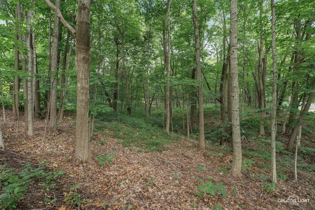 21 W Timberlake Trl, Oswego, IL 60543 - photo 35