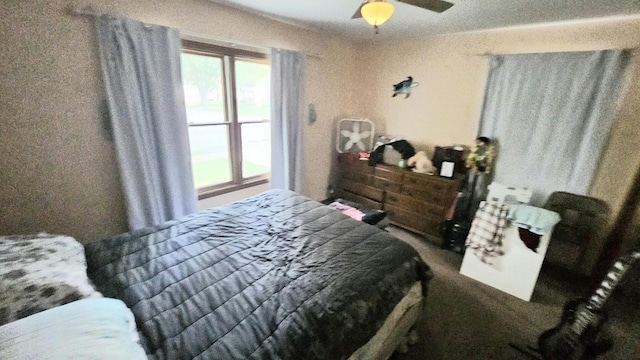 3533 212th Pl, Matteson, IL 60443 - photo 19