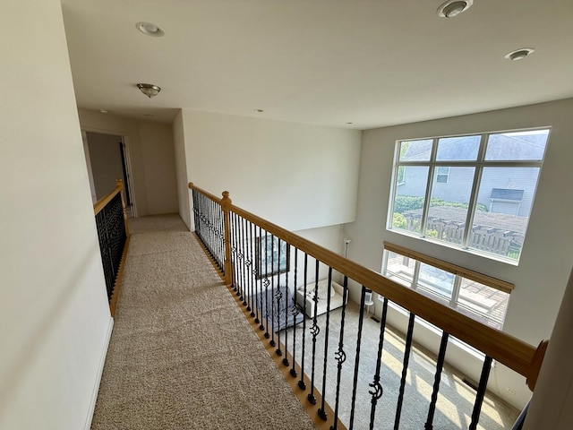 509 Blazing Star Dr, Lake Villa, IL 60046 - photo 19