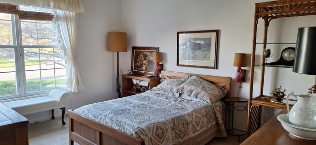 12255 Wildflower Ln, Huntley, IL 60142 - photo 13