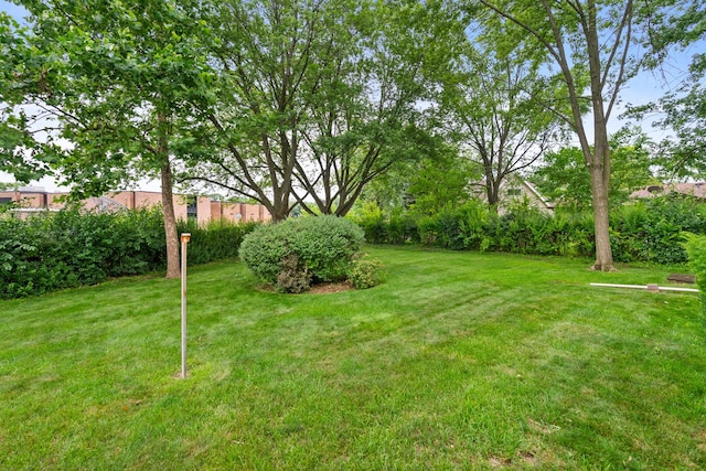 131 Sumac Ct, Schaumburg, IL 60193 - photo 27