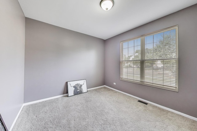 3618 Old Renwick Trl, Joliet, IL 60435 - photo 11