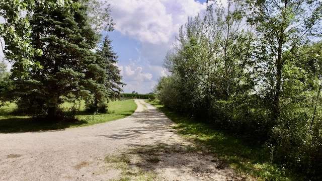 2085 N 4071st Rd, Sheridan, IL 60551 - photo 5