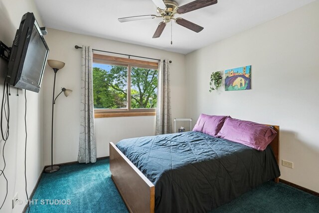 800 Cardinal Ln, Elk Grove Village, IL 60007 - photo 10