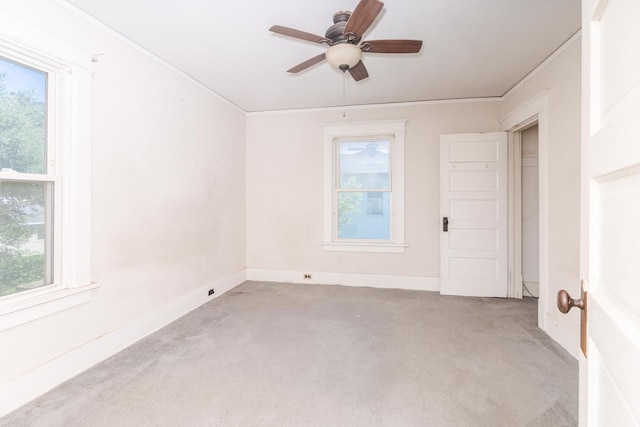 704 E Oakland Ave, Bloomington, IL 61701 - photo 17