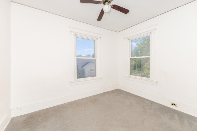 704 E Oakland Ave, Bloomington, IL 61701 - photo 20