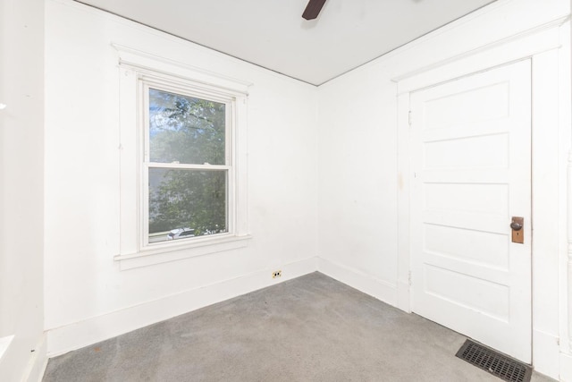 704 E Oakland Ave, Bloomington, IL 61701 - photo 21