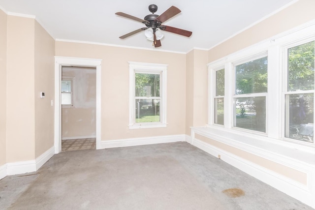 704 E Oakland Ave, Bloomington, IL 61701 - photo 10