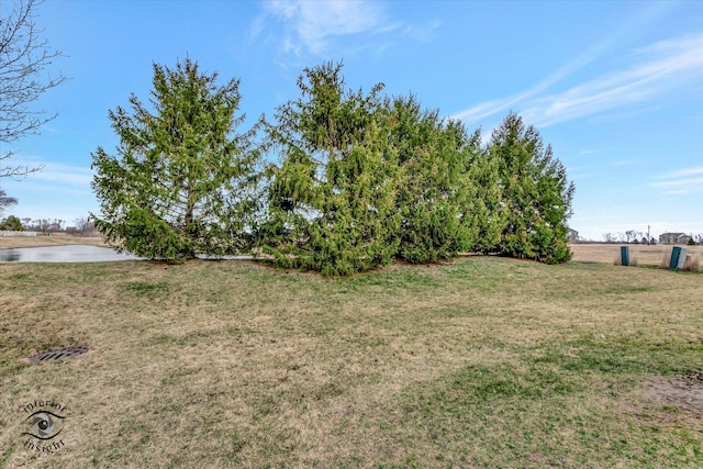 325 Hunters Dr, Beecher, IL 60401 - photo 24