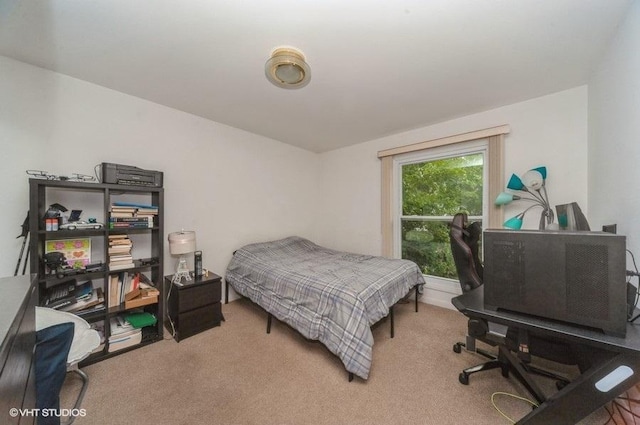 625 Pheasant Ln Unit 625, Deerfield, IL 60015 - photo 15