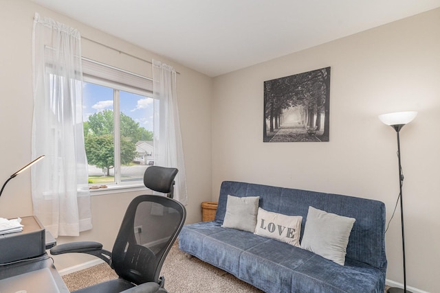 2901 Woodside Dr, Joliet, IL 60431 - photo 8
