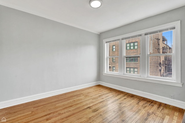 7711 S Essex Ave, Chicago, IL 60649 - photo 10