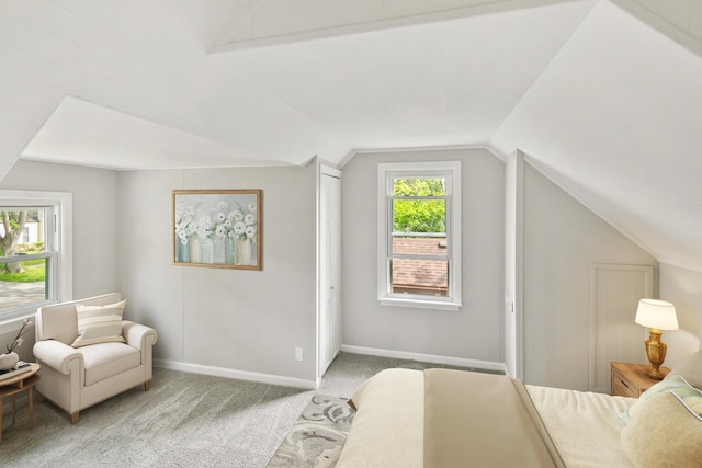 18836 Harding Ave, Flossmoor, IL 60422 - photo 11
