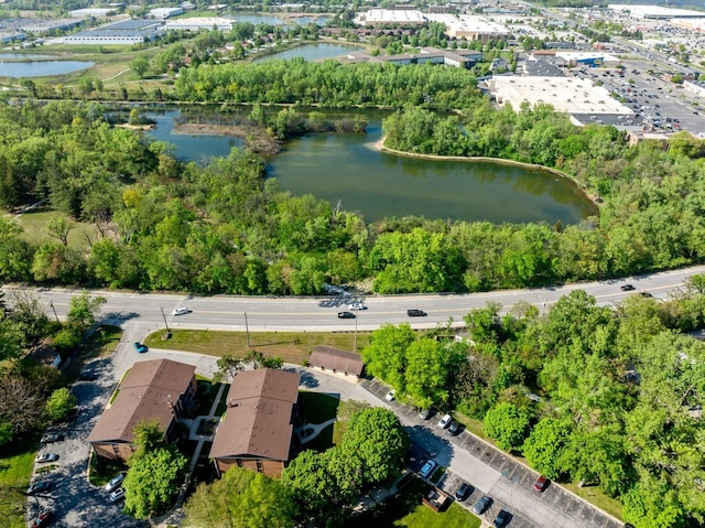 18205 Hart Dr Unit 1A, Homewood, IL 60430 - photo 19