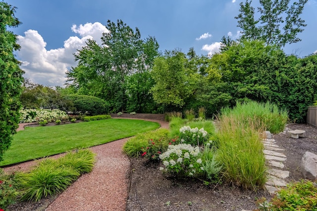 11617 Coach Dr, Mokena, IL 60448 - photo 8