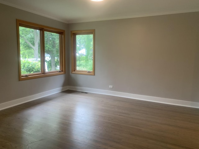 6411 Pontiac Dr, Indian Head Park, IL 60525 - photo 5