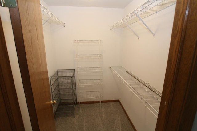 153 Sussex Ct Unit 153, Roselle, IL 60172 - photo 14