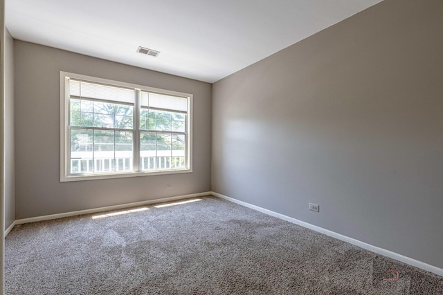 2847 Heatherwood Dr Unit 19112, Schaumburg, IL 60194 - photo 18