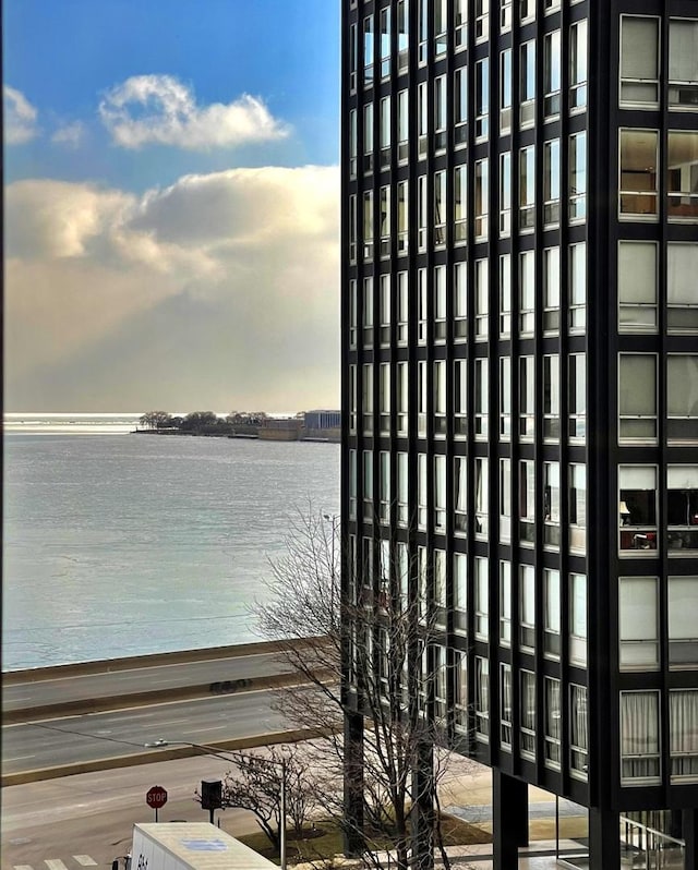 880 N Lake Shore Dr Unit 17G, Chicago, IL 60611 - photo 17