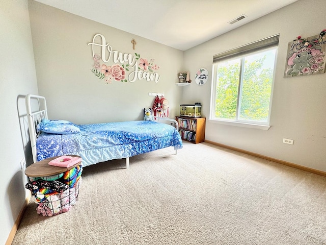 4300 Dillon St, Plano, IL 60545 - photo 9