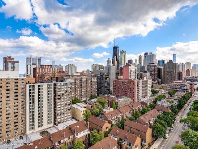 1355 N Sandburg Ter Unit 1707D, Chicago, IL 60610 - photo 21