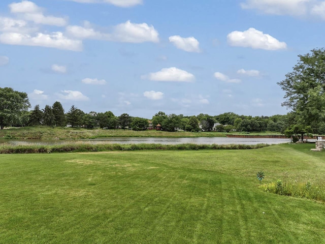 2566 Oak Trails Dr, Aurora, IL 60506 - photo 47