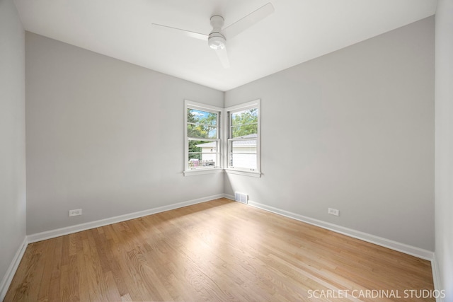 813 E Elm St, Wheaton, IL 60189 - photo 10