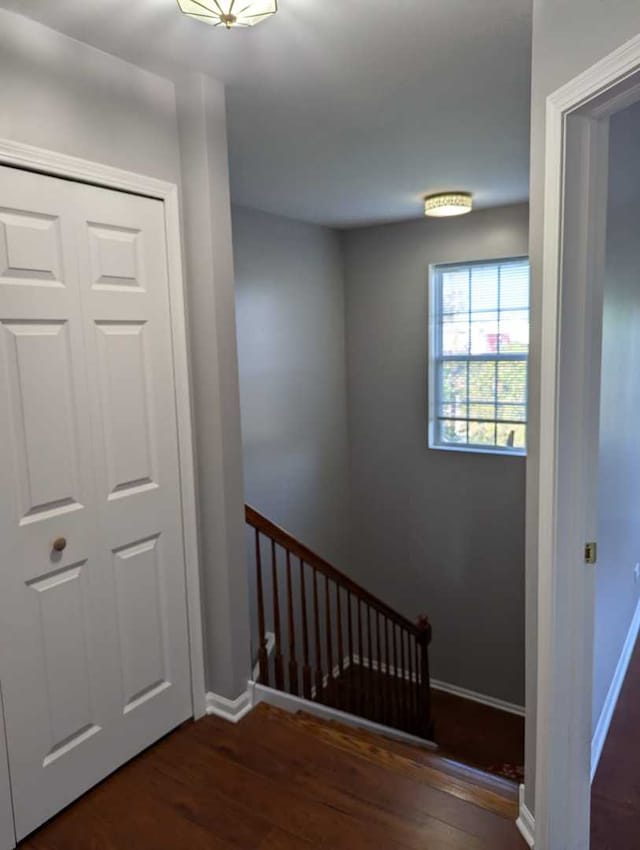 203 N Louis St Unit B, Mount Prospect, IL 60056 - photo 15