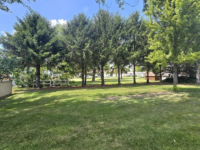 503 N Fifth St, Ashkum, IL 60911 - photo 7