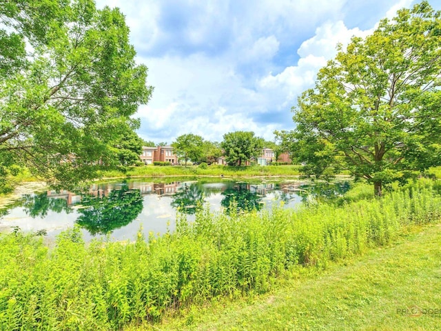 441 Kelburn Rd Unit 111, Deerfield, IL 60015 - photo 19