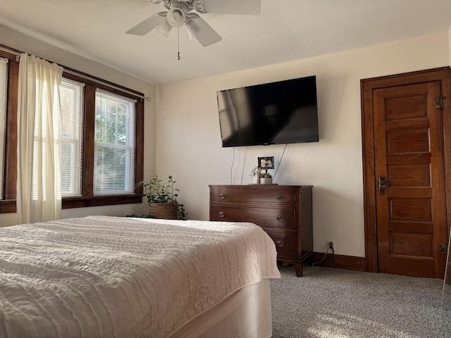 703 N 3rd St, Rochelle, IL 61068 - photo 29
