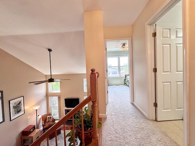 276 Wildspring Ct, Itasca, IL 60143 - photo 19