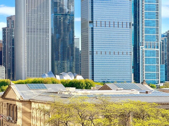 310 S Michigan Ave Unit 702, Chicago, IL 60604 - photo 41