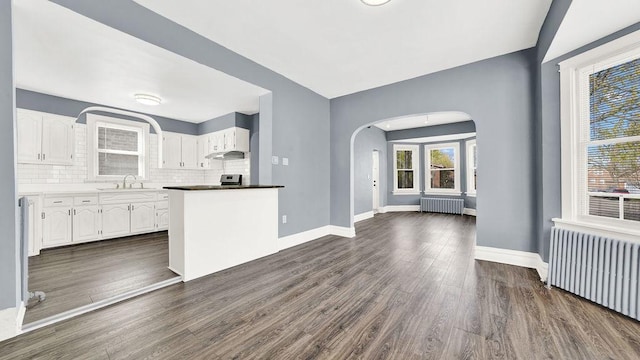6001 S Kilbourn Ave, Chicago, IL 60629 - photo 4
