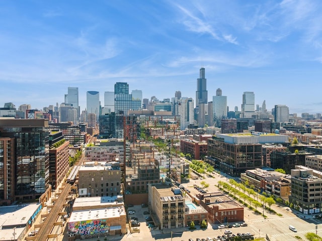 165 N May St, Chicago, IL 60607 - photo 23