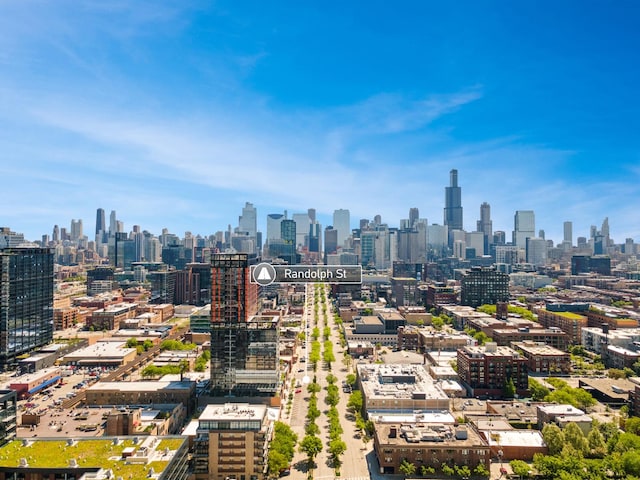 165 N May St, Chicago, IL 60607 - photo 32